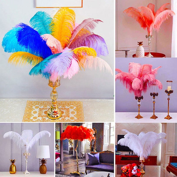 10 PCS Plumes d’autruche Plumes colorées Terne Table de mariage Centres de table Carnaval Samba Party Embelli