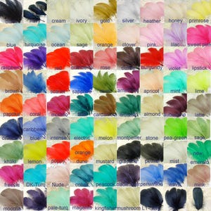 Puede incluir: Una colecci&oacute;n de plumas coloridas en varios tonos, desde crema y dorado hasta rosa y azul. Cada pluma est&aacute; etiquetada con su nombre de color, como "turquesa" y "magenta". Ideal para manualidades y decoraci&oacute;n.