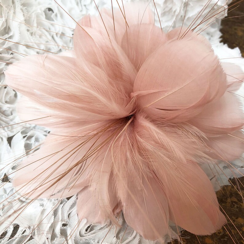Puede incluir: Primer plano de una flor de plumas color rubor. La flor tiene m&uacute;ltiples capas de plumas suaves y delicadas, con largos y finos acentos de plumas marrones que irradian hacia afuera. La flor est&aacute; sobre un fondo de encaje blanco.