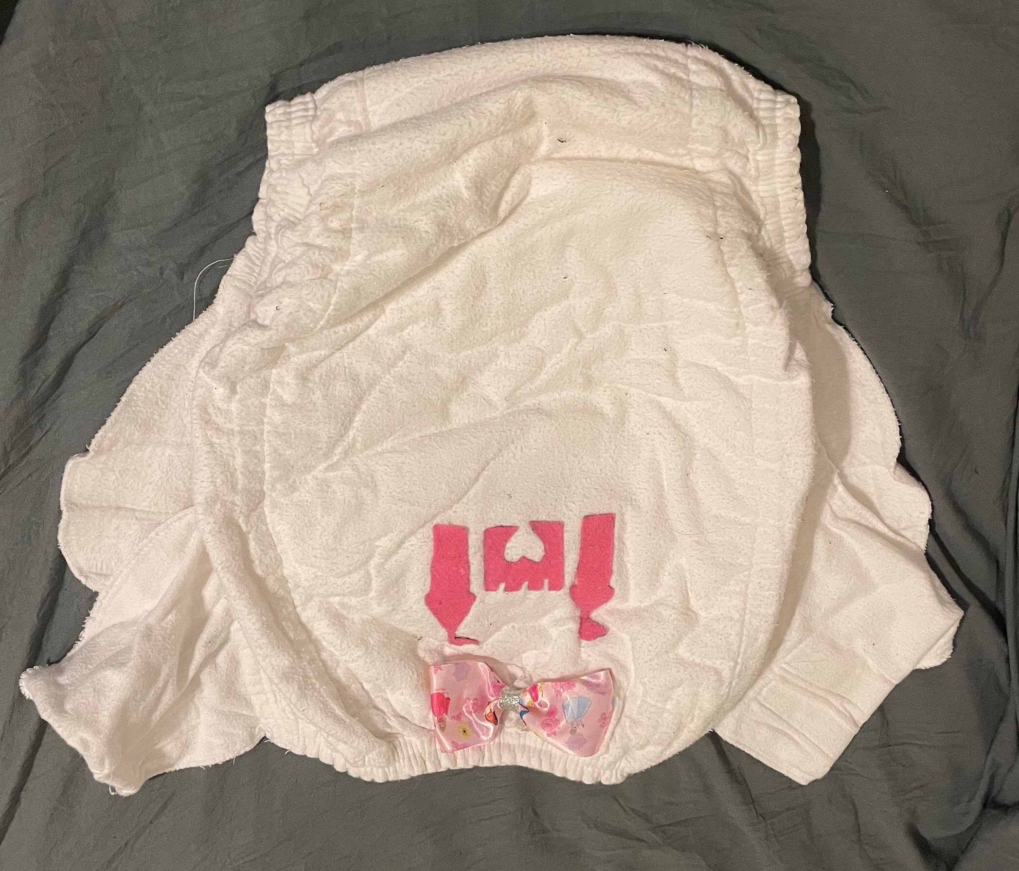 Princess Reusable ABDL Diaper Bundle Etsy