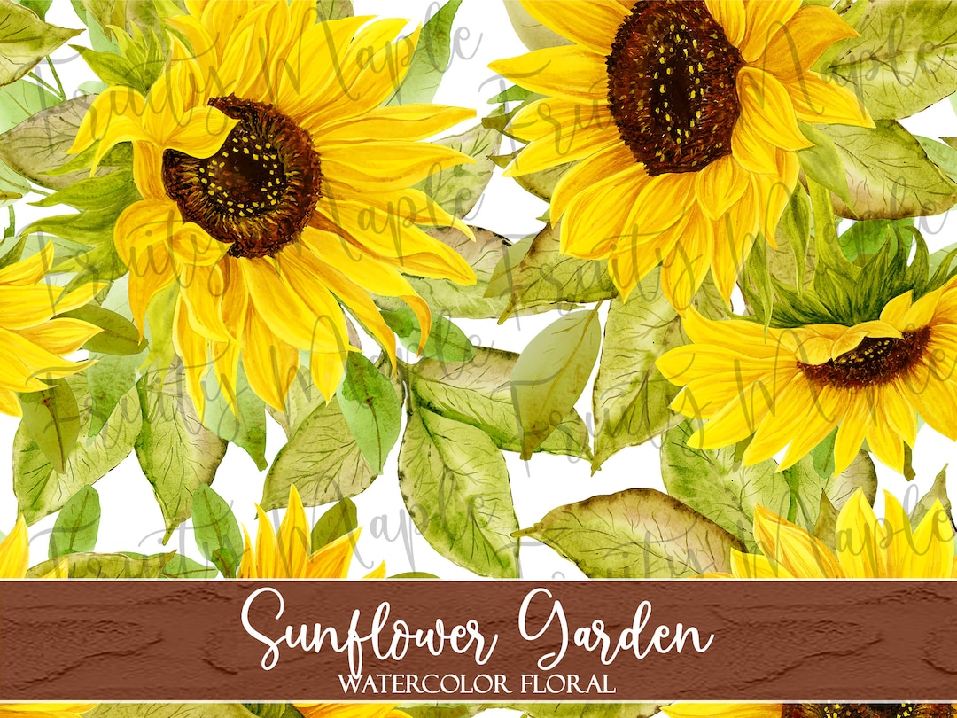 Sunflower Seamless Pattern, Watercolor Sunflower Digital Paper, Floral ...