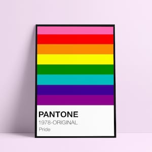 May include: A black framed poster featuring the Pantone colour swatch for the rainbow flag. The poster reads "Pantone 1978-ORIGINAL Pride".