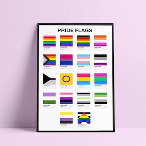 May include: A printable poster with the title "Pride Flags" and a grid of 20 different pride flags with their corresponding Pantone colour codes.