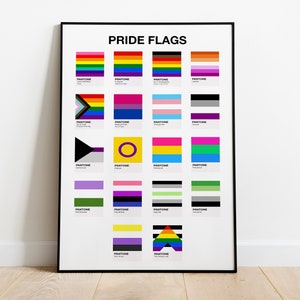 May include: A black and white poster with the title "PRIDE FLAGS" and a grid of 20 different pride flags with their corresponding Pantone colour codes.