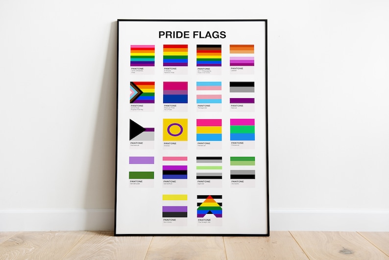 May include: A black and white poster with the title "PRIDE FLAGS" and a grid of 20 different pride flags with their corresponding Pantone colour codes.