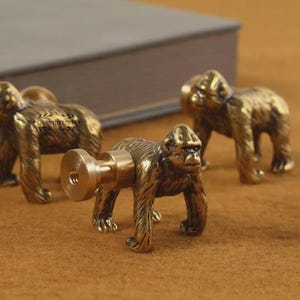May include: Three brass monkey-shaped cabinet knobs. The knobs have a textured finish and a screw attachment. The monkeys are in a standing position. The background includes a book and a white rock.