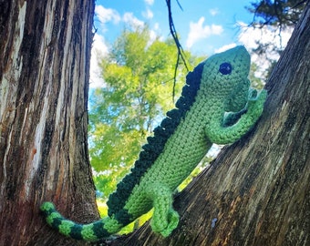 Iguana