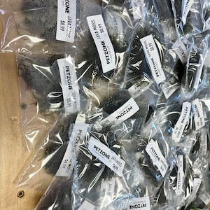 Pode incluir: Um close-up de várias sacolas plásticas cheias de musgo de Java, uma planta de aquário popular. Cada sacola tem uma etiqueta de preço com o texto "PETZONE JAVA MOSS" e um preço de 8,99 €.