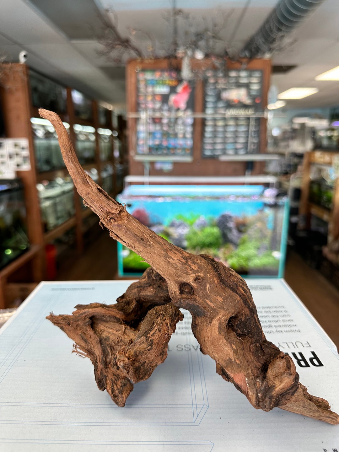 Natural Mopani Driftwood for Aquascaping Aquarium Hardscape Wood for Aquascapes Terrarium