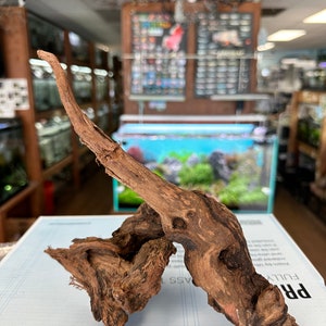 Natural Mopani Driftwood for Aquascaping - Aquarium Hardscape Wood For Aquascapes Terrarium Planted Fish Tanks