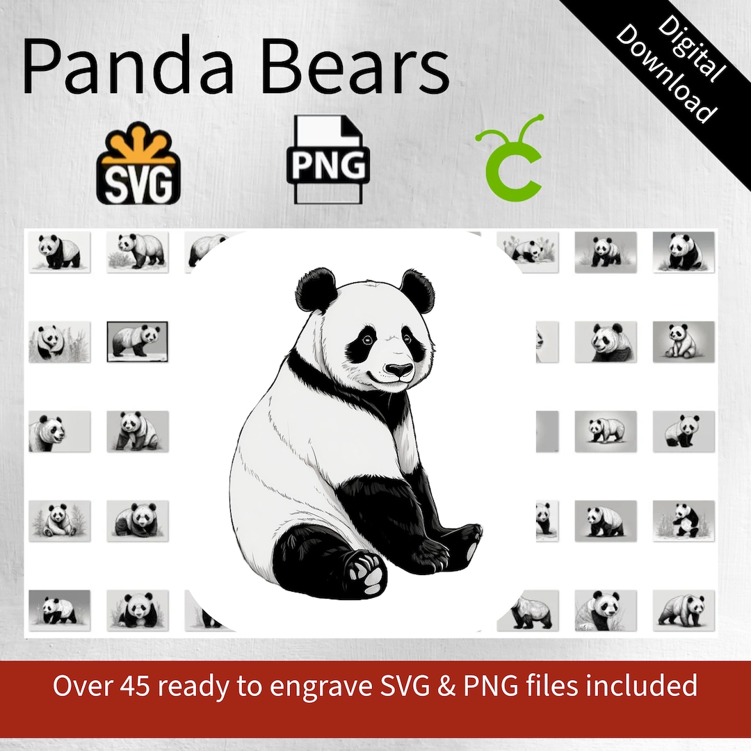 Panda Bears SVG PNG Files for Laser, Cricut, Svg Bundle - Pandas ...