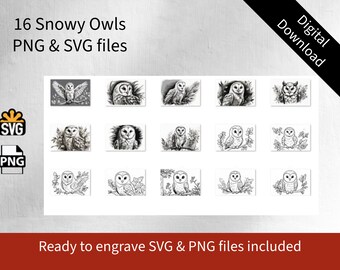 Sneeuwuilen clipart, SVG PNG JPG-bestanden (digitale download)