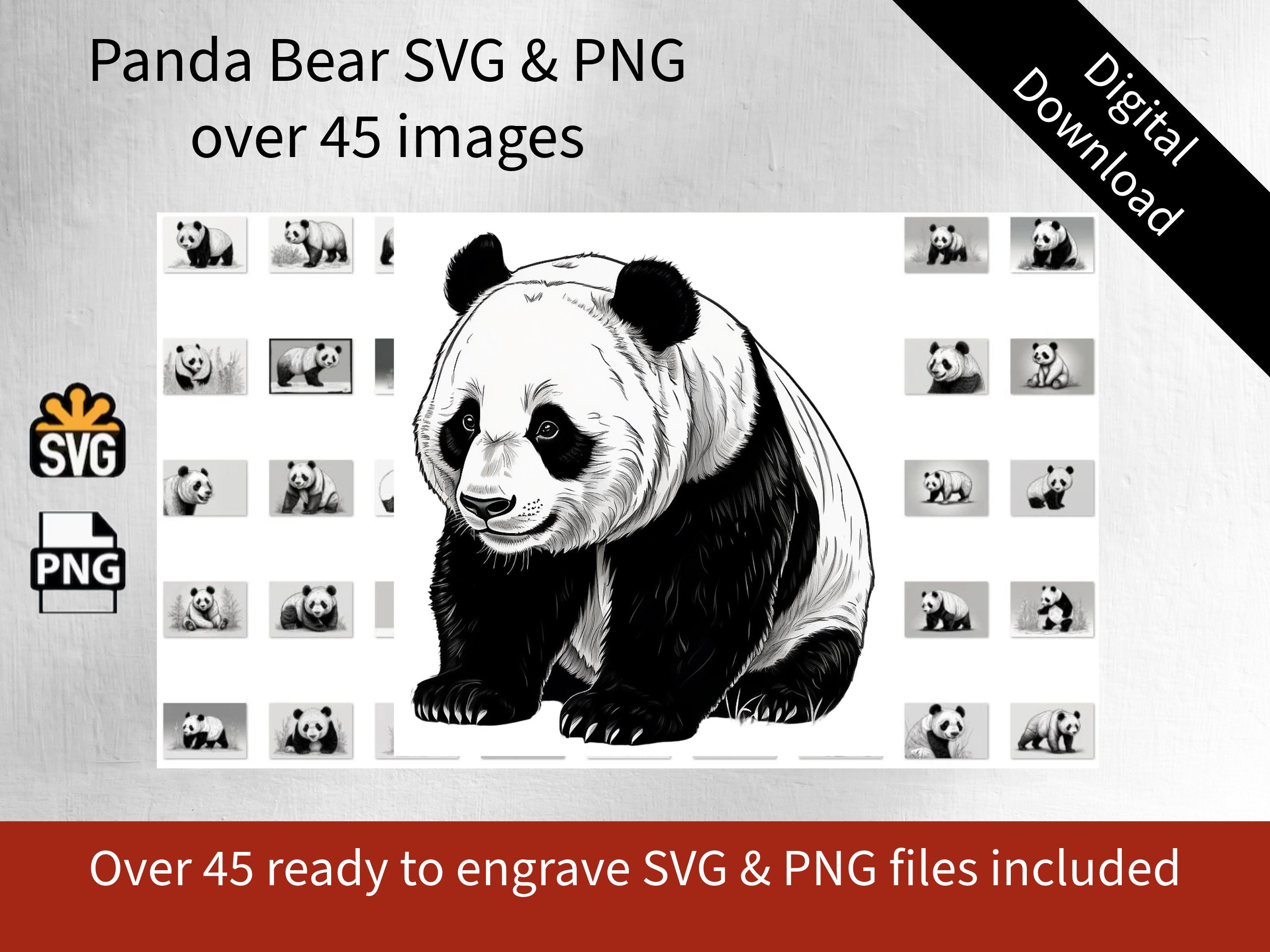 Panda Bears SVG PNG Files for Laser, Cricut, Svg Bundle Pandas Clipart ...