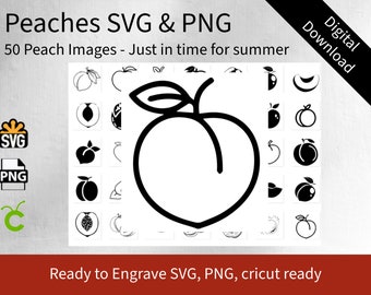 Peach SVG, PNG Clipart, Black and White, Cricut Ready (Digital Download)