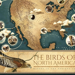 北アメリカの鳥類地図 - 鳥類学プリント、カナダ米国の鳥類ポスター、鳥類の壁アート、オーデュボンの鳥類プリント、バードウォッチング、即時ダウンロード