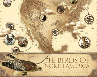 Birds of North America Map - Ornithology Print, Canada USA Bird Poster, Bird Wall Art, Audubon Bird Print, Antique Style, Instant Download