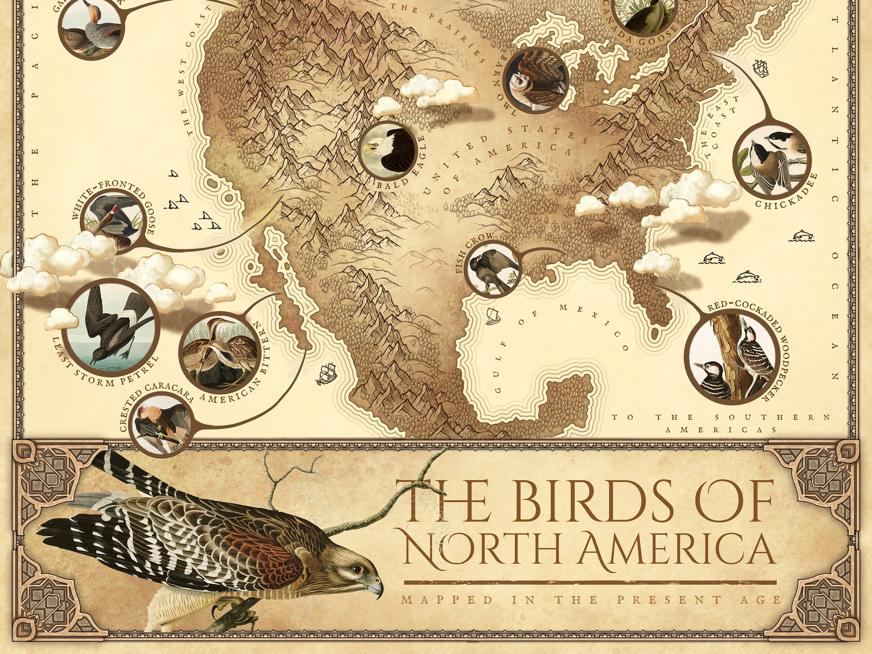 Birds of North America Map - Ornithology Print, Canada USA Bird Poster, Bird Wall Art, Audubon Bird Print, Antique Style, Instant Download