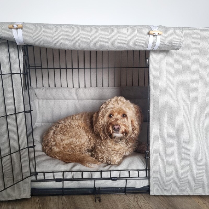 Picture of crate dog bed