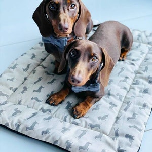 Cotton dog settle mat with shoulder strap and popper fastening. The mat for dogs helps with training a dog or puppy to settle. It makes a perfect gift for dogs and tool for puppy training. The puppy settle training pad is available is different colours and made easy to carry.