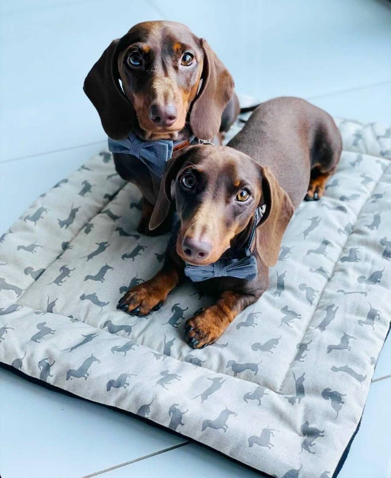 Cotton dog settle mat with shoulder strap and popper fastening. The mat for dogs helps with training a dog or puppy to settle. It makes a perfect gift for dogs and tool for puppy training. The puppy settle training pad is available is different colours and made easy to carry.