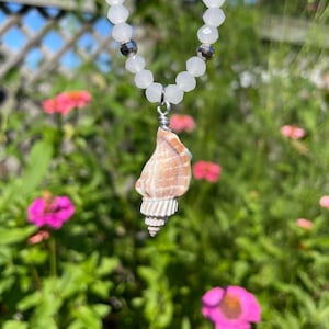 real shell necklace | mermaid necklace | ocean jewelry | beach jewelry | shell jewelry
