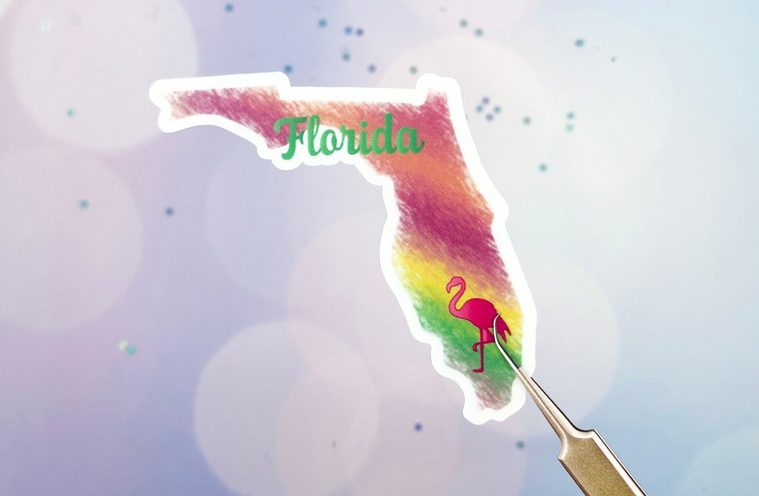Florida Sticker for Waterbottle Sticker, State Sticker, Florida Decal ...
