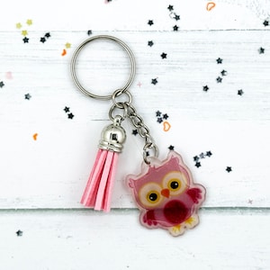 May include: Pink owl keychain with a silver key ring and a pink tassel.