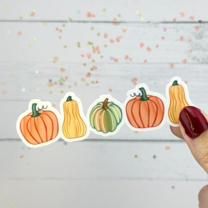 Pumpkin Row Sticker, Fall Harvest Sticker, Autumn Gift for Her, Fall Lovers Gift, Water Resistant Sticker, Autumn Stickers, Squash Art