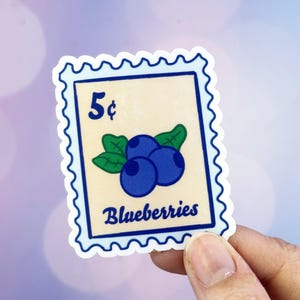 Blueberry Sticker, Fruit Sticker, Sticker For Waterbottle, Blueberry Decal For Laptop, Blueberry Gift For Her, Stamp Sticker