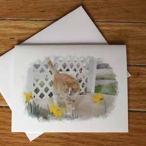 May include: A watercolor painting of an orange tabby cat walking on a wooden porch with yellow daffodils in bloom.
