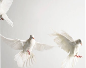 Lezing paranormaal mediumschap