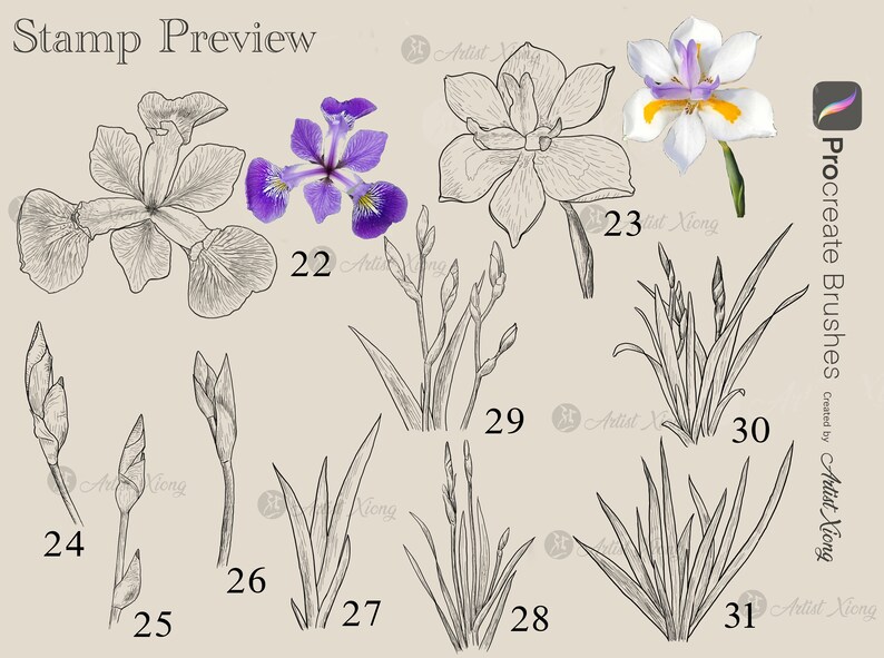 Realistic Iris Stamp Brushes for Procreate - Etsy