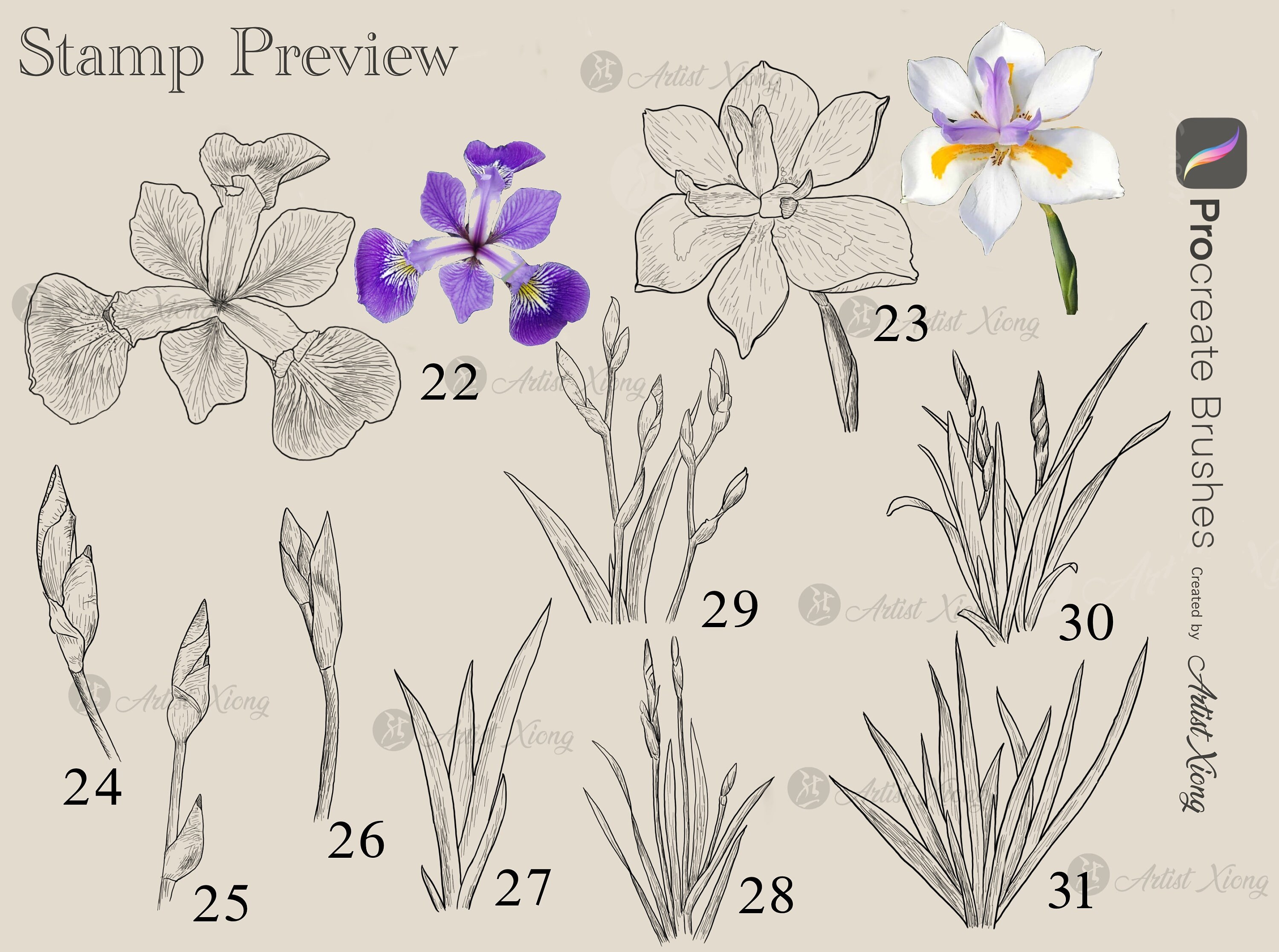 Realistic Iris Stamp Brushes for Procreate - Etsy