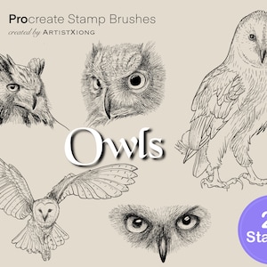 Realistic Owl Stamp Brushes for Procreate