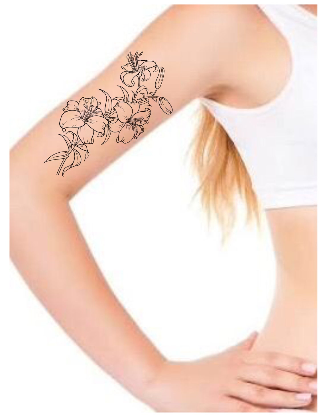 Realistic Lily Flower Stamp Brushes for Procreate - Etsy