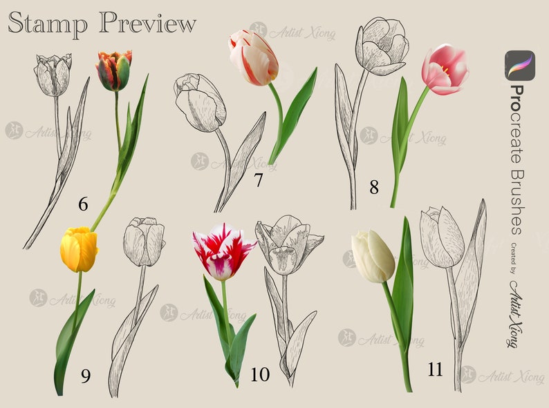 Realistic Tulip Stamp Brushes for Procreate - Etsy