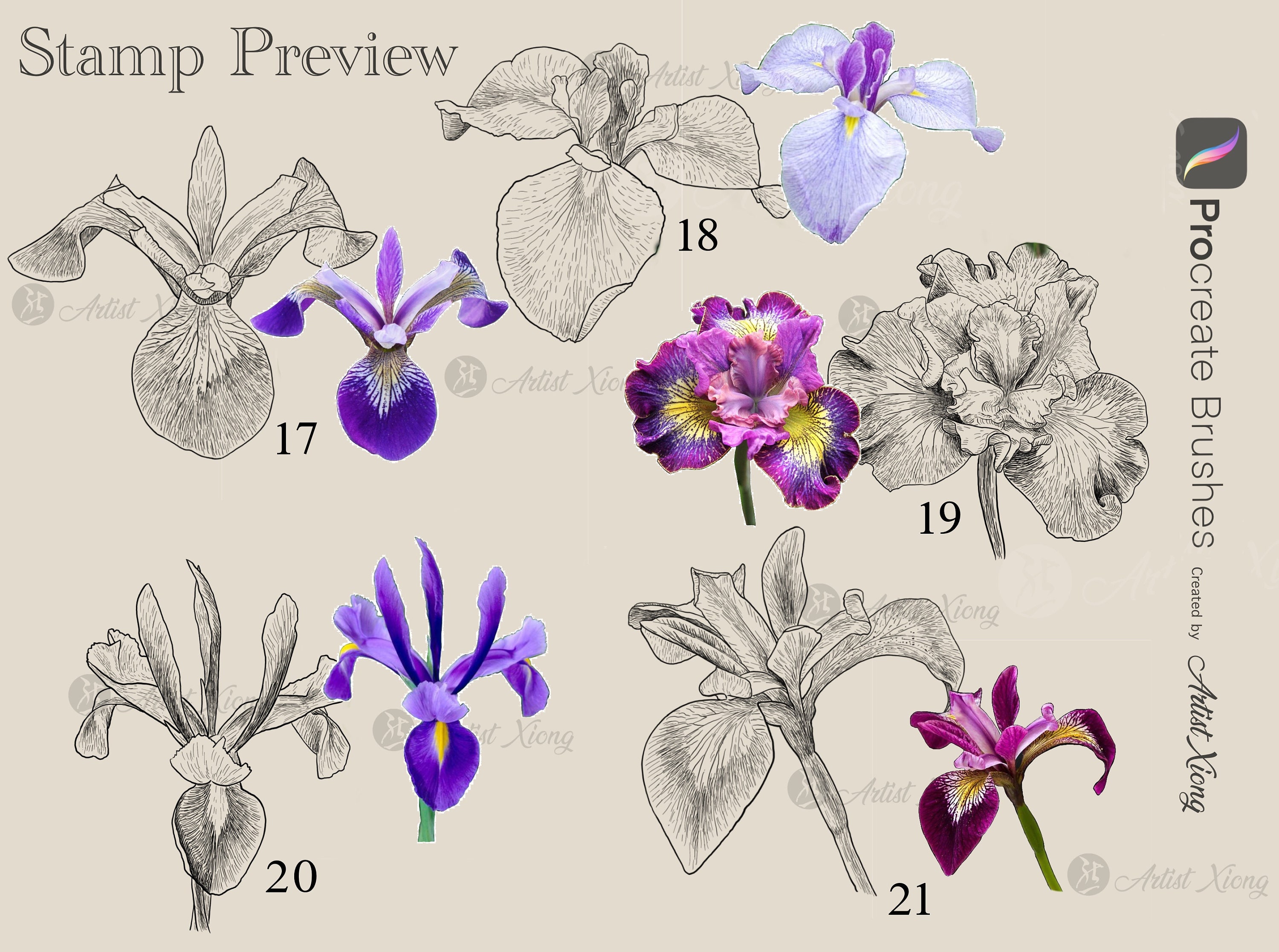 Realistic Iris Stamp Brushes for Procreate - Etsy