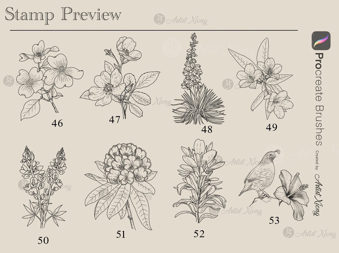 Realistic Bird and Flower Stamp Brushes for Procreate - Etsy