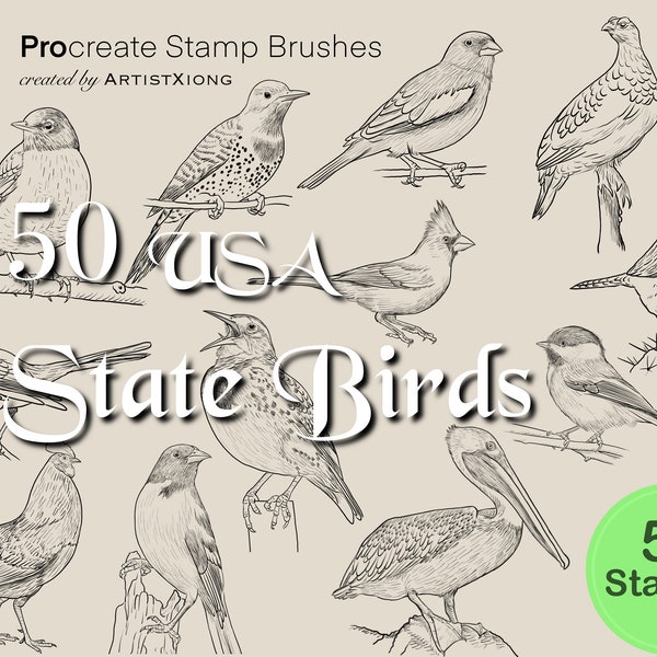 50 USA State Bird Stamp Brushes for Procreate