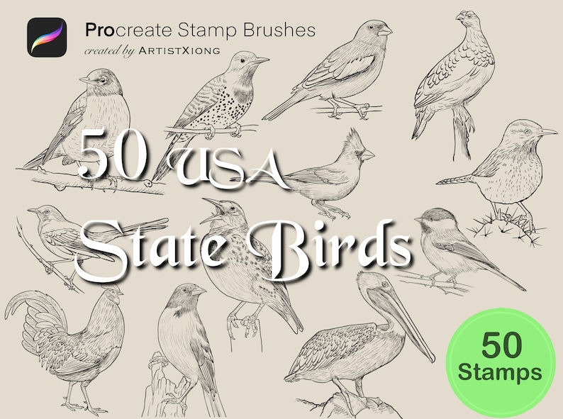 50 USA State Bird Stamp Brushes for Procreate - Etsy
