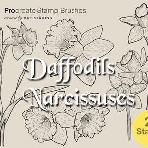 Realistic Daffodil/Narcissus Stamp Brushes for Procreate