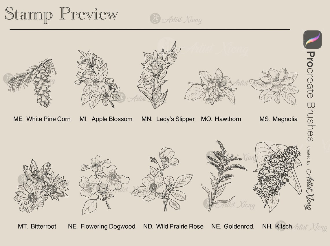 50 USA State Flower Stamp Brushes for Procreate - Etsy
