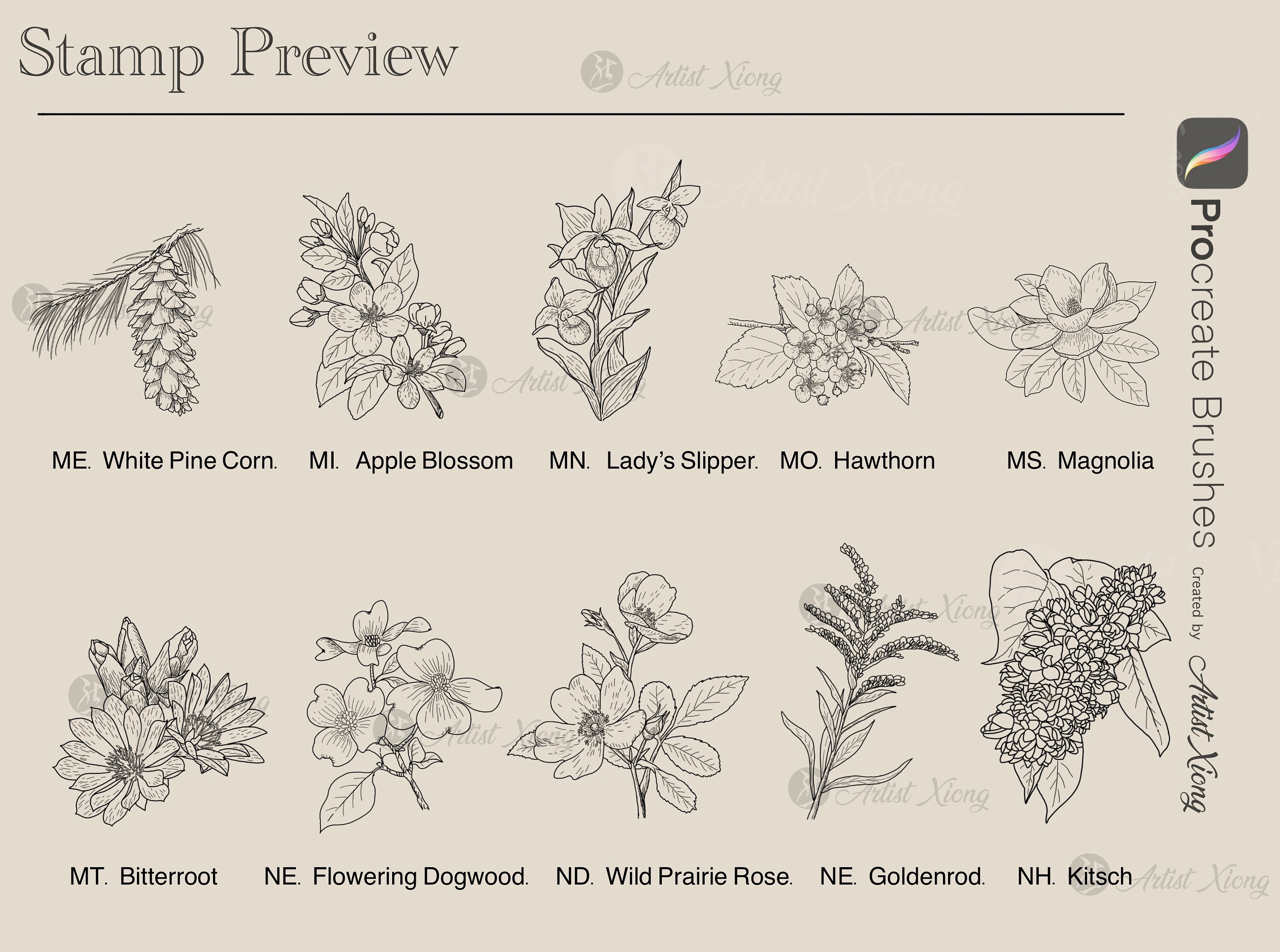 50 USA State Flower Stamp Brushes for Procreate - Etsy