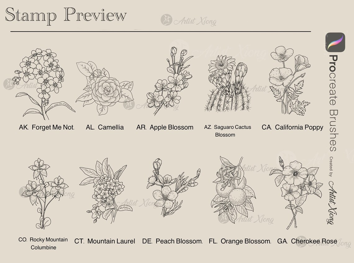 50 USA State Flower Stamp Brushes for Procreate - Etsy