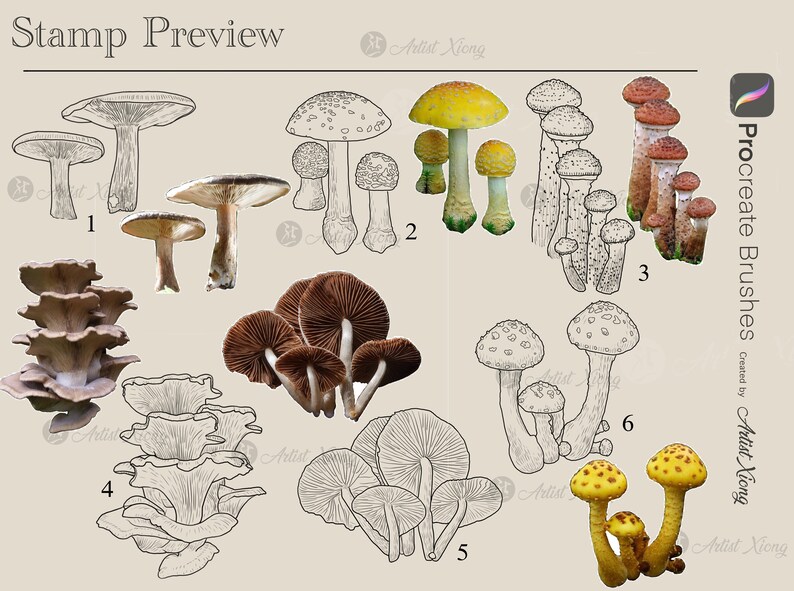 Realistic Mushroom Stamp Brushes for Procreate - Etsy
