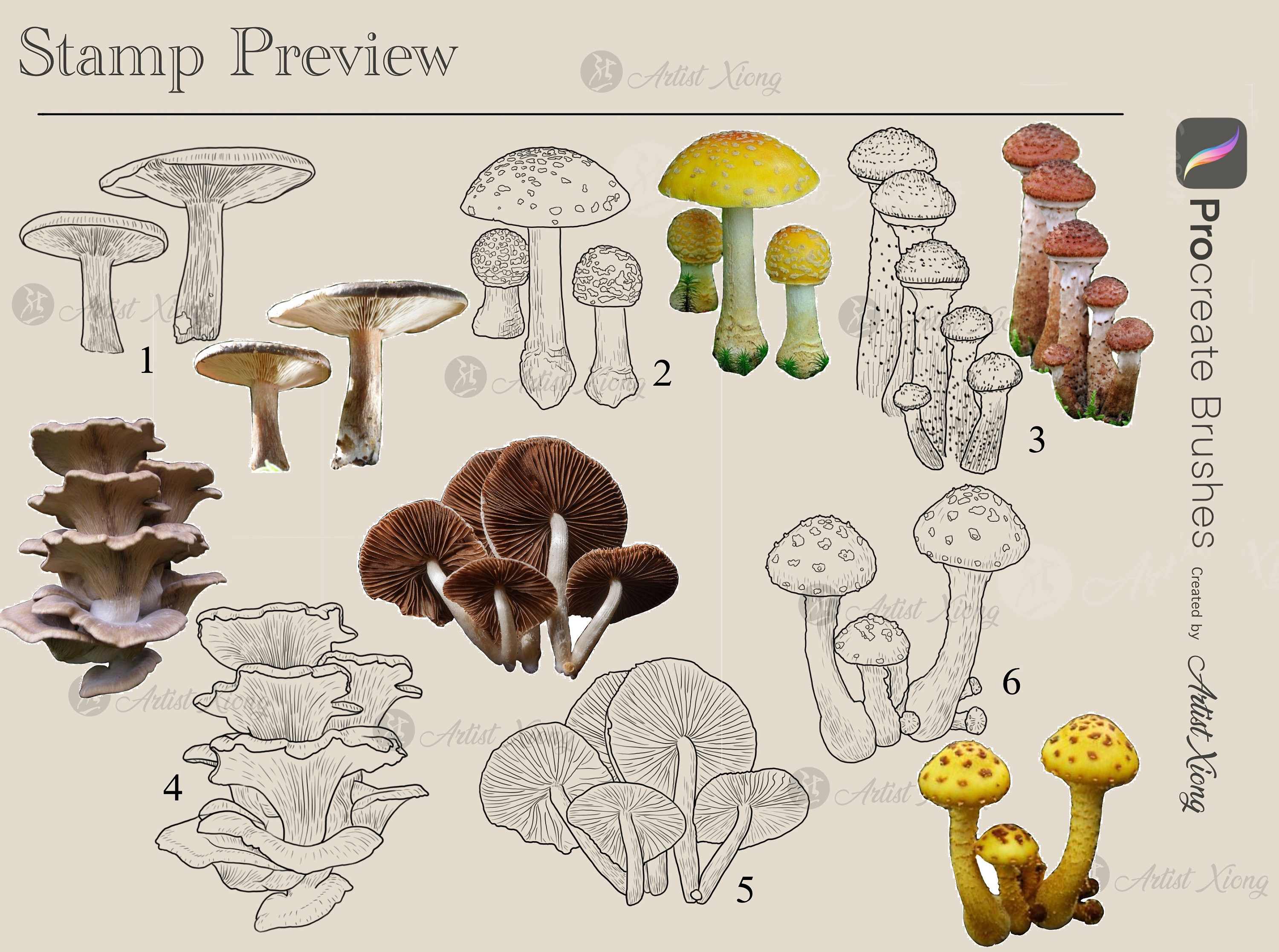 Realistic Mushroom Stamp Brushes for Procreate - Etsy