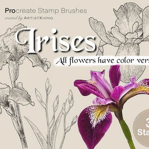 Puede incluir: Procreate Stamp Brushes: Iris. Un conjunto de 31 sellos digitales con ilustraciones de línea de flores de iris en blanco y negro, y una sola flor de iris púrpura y amarilla. Todas las flores tienen versiones en color.