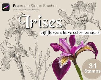 Pincéis de carimbo de íris realistas para Procreate