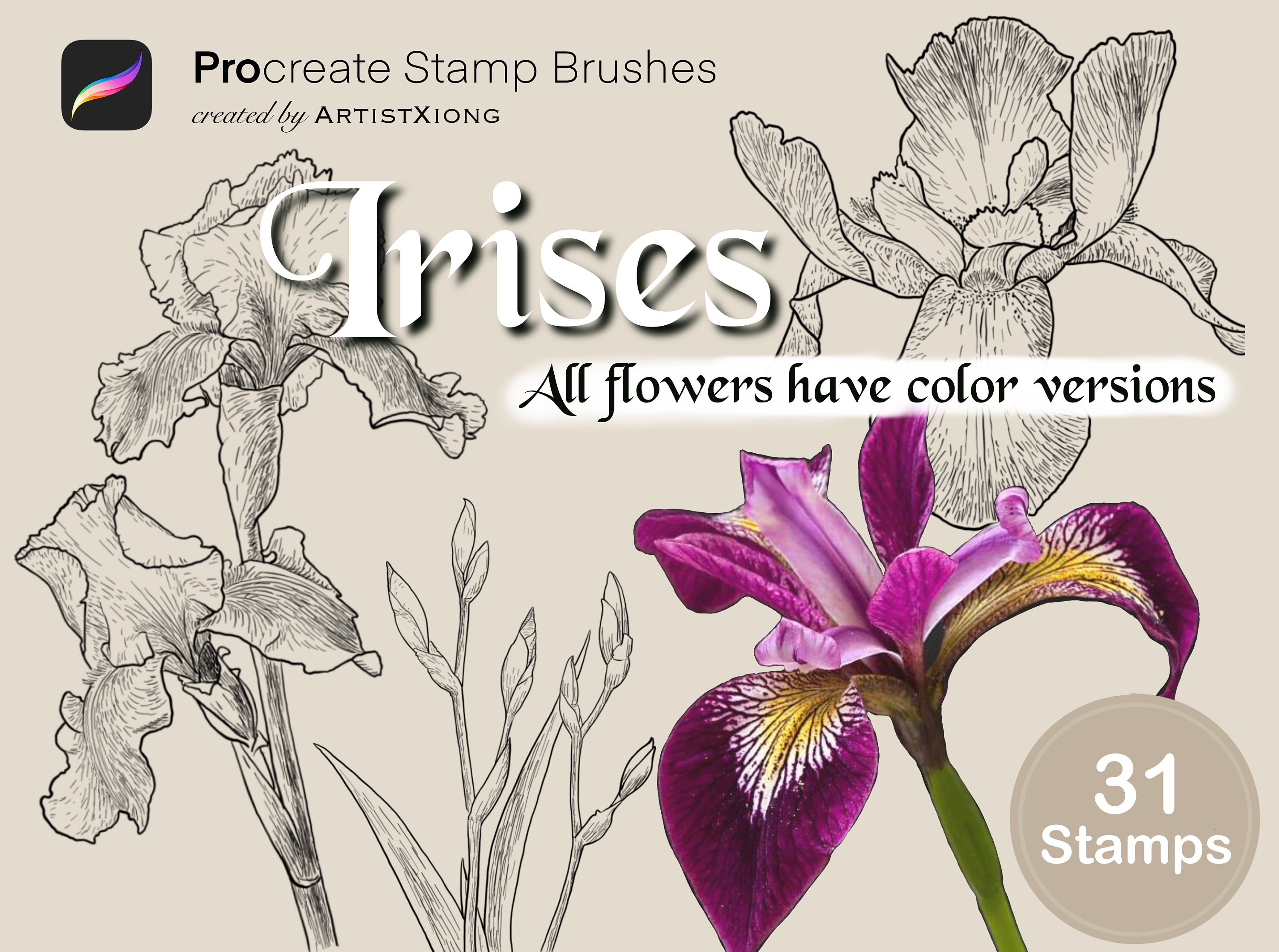 Realistic Iris Stamp Brushes for Procreate - Etsy