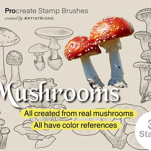 Realistic Mushroom Stamp Brushes for Procreate - Etsy